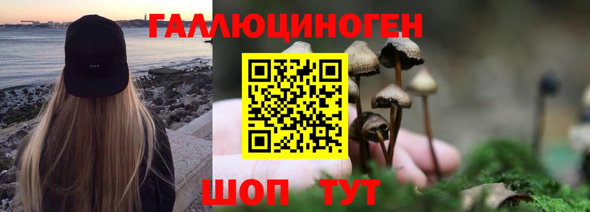 Псилоцибиновые грибы мицелий Дубна